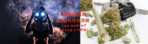 PSILOCYBIN Алзамай