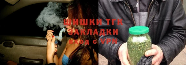 PSILOCYBIN Алзамай
