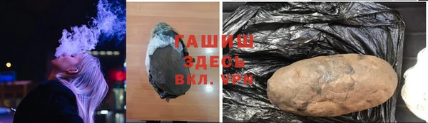 PSILOCYBIN Алзамай