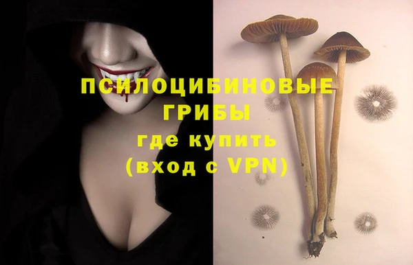 PSILOCYBIN Алзамай