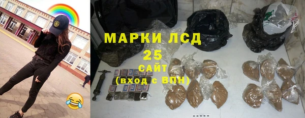PSILOCYBIN Алзамай