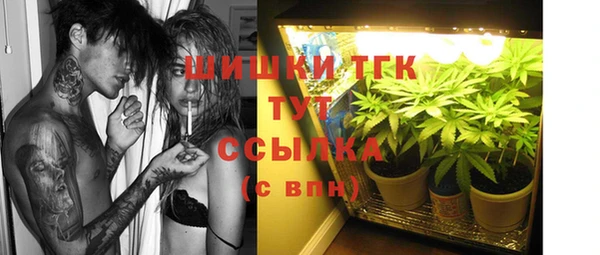 PSILOCYBIN Алзамай