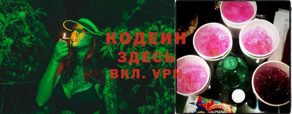 PSILOCYBIN Алзамай
