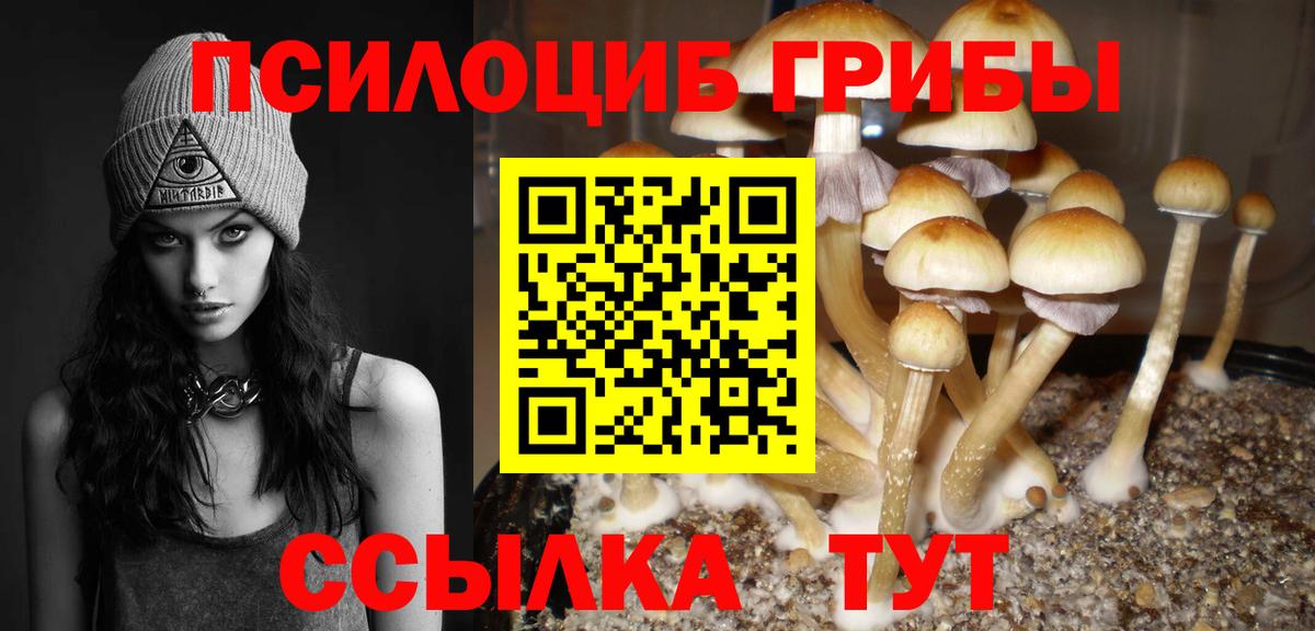 Галлюциногенные грибы прущие грибы Ачинск