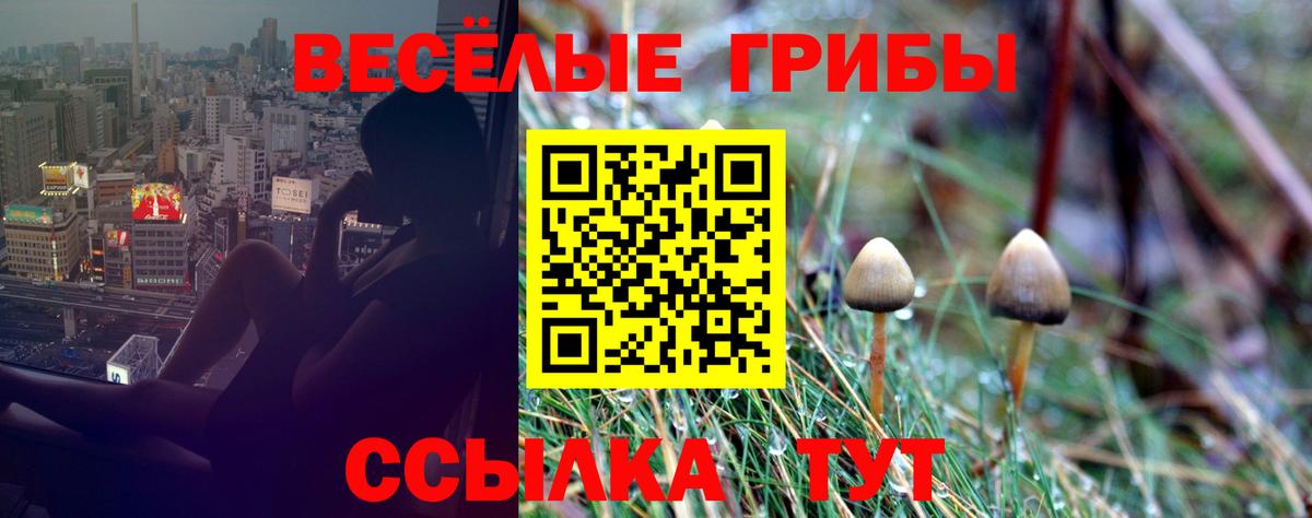 Галлюциногенные грибы GOLDEN TEACHER  Псилоцибиновые грибы GOLDEN TEACHER  Ачинск  Вход с VPN 